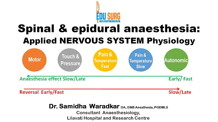 Applied physiology - Nervous system simplified - spinal / Epidural anesthesia - Edusurg Clinics