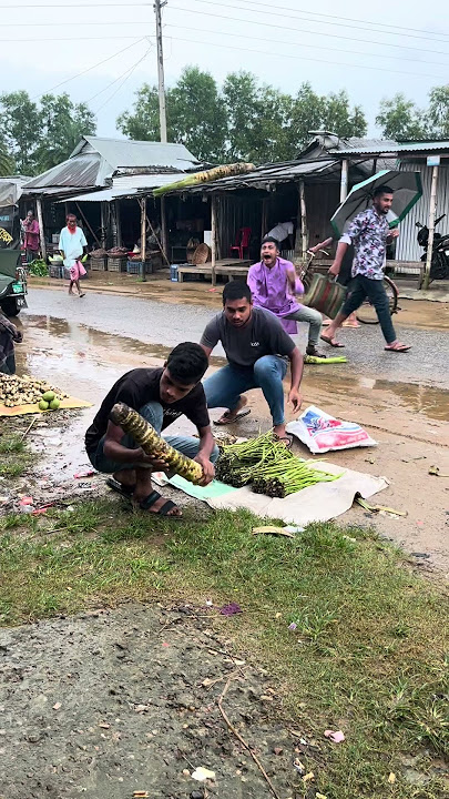 Download lagu This guy stole taro like itβs gold! π€π