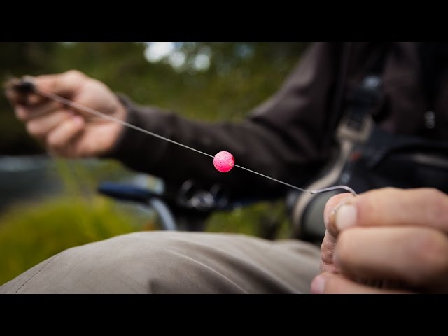 Bead Fishing 101  Big Y Fly Co. 