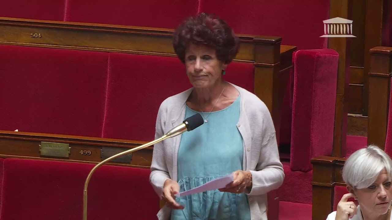 Catherine Hervieu interpèle le M. le ministre de la santé sur l'accès aux soins en Côte-d'Or