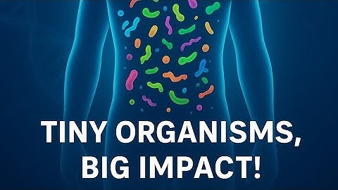 The Unseen World | Microbes In Your Everyday Life #microbiomematters #science #microbiome