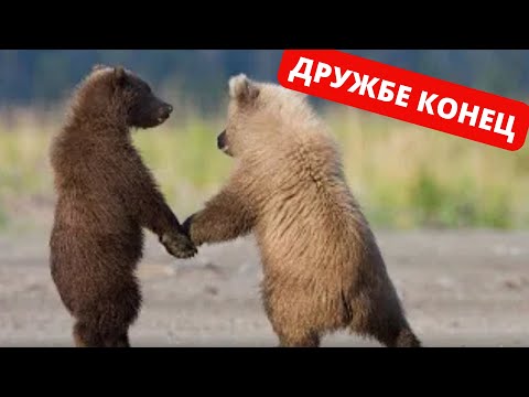 ДРУЖБЕ пришел КОНЕЦ | Почему ЗАКАНЧИВАЕТСЯ ДРУЖБА