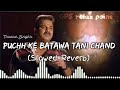 Puchh Ke Batawa Tani Chand #lofi  (Slowed and Reverb) - पूछ के बताव तनी चाँद - Pawan Singh - #viral