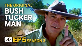 Were the first European Australians Dutch?  | Bush Tucker Man | S3 EP5 | ABC Australia