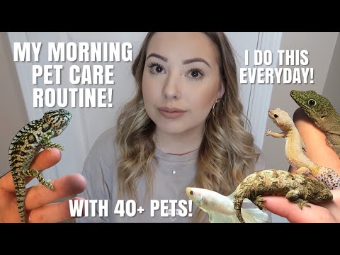 My Morning Pet Care Routine With 40+ Pets!