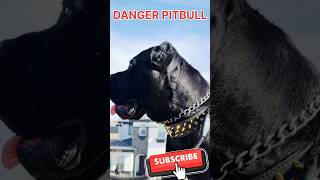 दुनिया के सबसे ख़तरनाक कुत्ते 😱😱 #youtube #shorts #dangerous #pitbull #video #viral