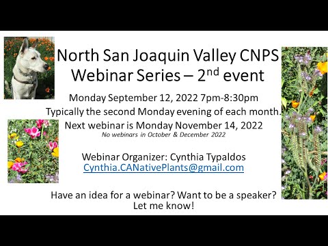 Vídeo: O que é um arbusto de flanela: cultivo de arbusto de flanela da Califórnia no jardim
