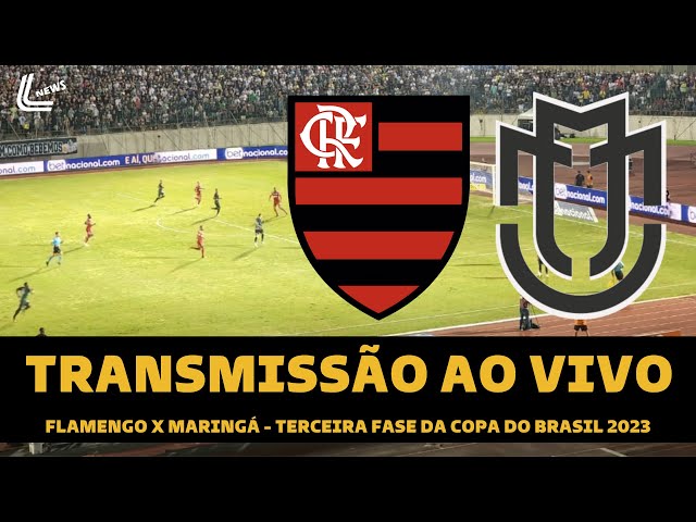 Saiba como assistir o jogo do Flamengo ao vivo pela internet de graça