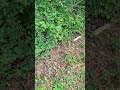New electric gate part 1