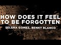 Selena Gomez Benny Blanco How Does It Feel To Be Forgotten Lyrics mp3