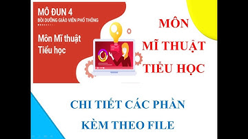 Đáp án mô đun 4 môn Mĩ thuật Tiểu học đầy đủ nhất | Kèm File kế hoạch bài dạy Kế hoạch dạy học