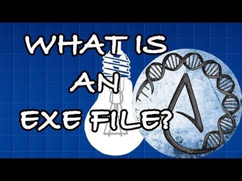 Видео: Гүйцэтгэгдэх файл гэж юу вэ?