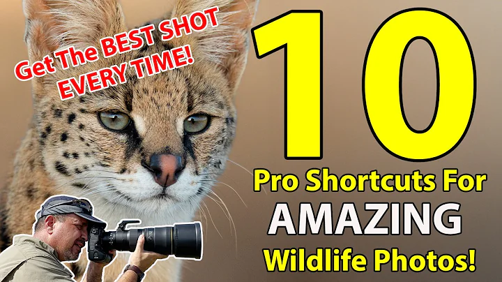TOP 10 Wildlife Photography Shortcuts Used By PROS! thumbnail