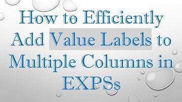 How to Efficiently Add Value Labels to Multiple Columns in EXPSs