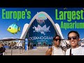 Oceanografic Valencia Aquarium Tour