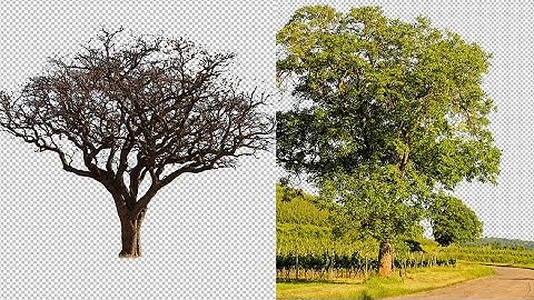 Tree Cut Outs made EASY and FAST - Photoshop cs6