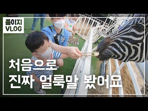 21개월 아기와 주말 연휴 나들이 브이로그ㅣ카페산ㅣ수산공원ㅣ쭘이지부부