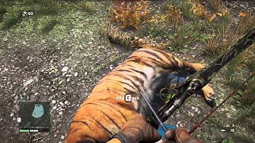 Far Cr 4 Stopped Working