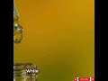Garlic for Wound Care! #Garlic #NaturalRemedies #HomeRemedies #HealthyLiving #ImmunityBoost