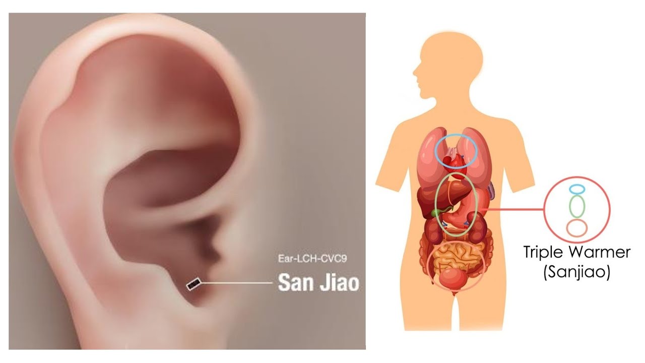 SAN JIAO PATTERN DIFFERENTIATION IN CHINESE MEDICINE - YouTube