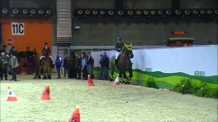 DKT - Sofie Clerinx (Tresor) - bereden - Agribex -...