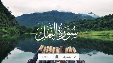 ما تيسر من سورة النمل | القارئ احمد علاء | تلاوة خاشعة