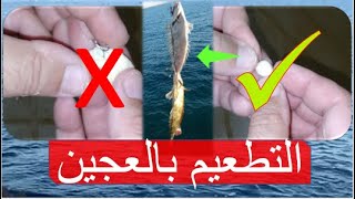 صيد السمك في لبنان،كيف نضع طعم العجين بطريقة صحيحة وإحترافية لضمان إلتصاقها بالسنارة او الغدارة
