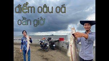 Câu cá Cần Giờ điểm câu cá tại lý Nhơn cần giờ