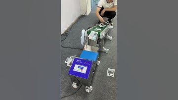 High accuracy touch screen small check weigher left and right weight scale for packing machine