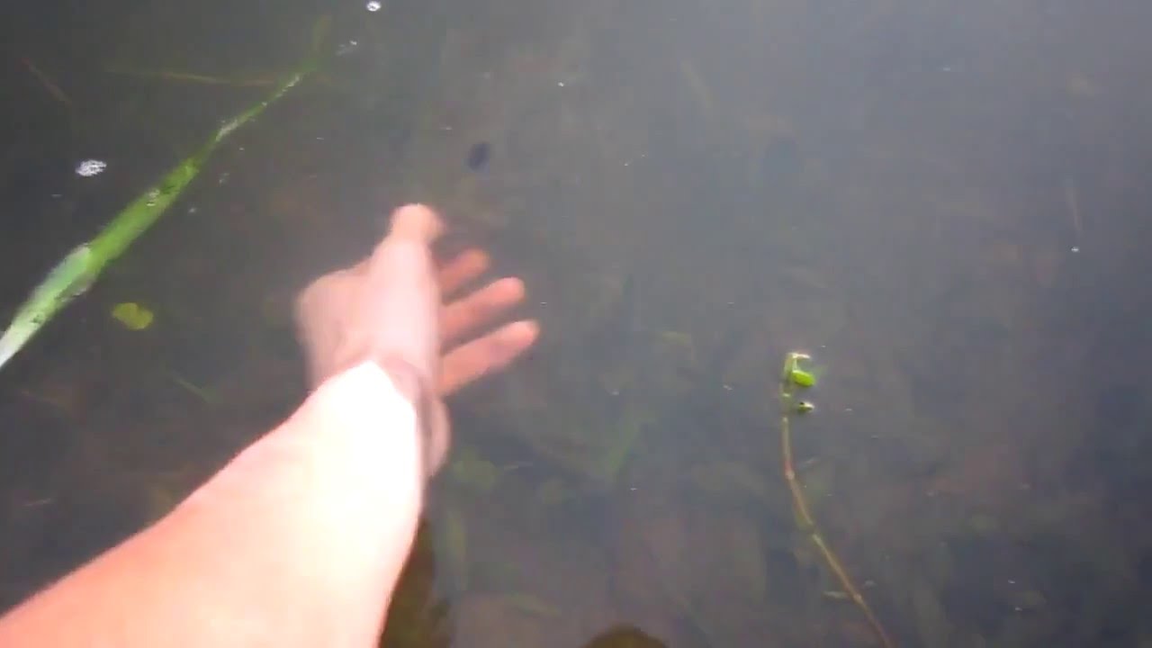 Руками ловила рыбу в чистой воде