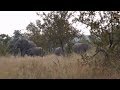 Pt 1 Safari Live&#39;s Sunrise Safari Drive at 6:00 AM on April 30, 2018