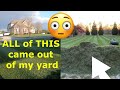 How to Dethatch a Lawn a Different Way