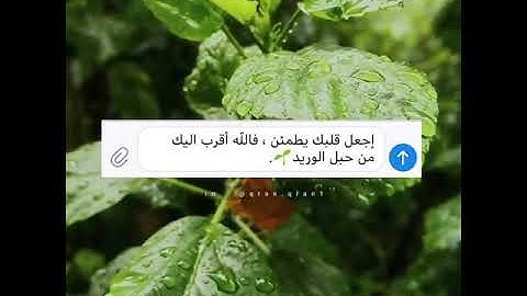 مشاري ابن راشد العفاسي🌼حالات واتس اب دينيه قران كريم ايات قرانيه دينيه🌼