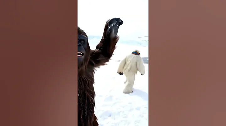 BIGFOOT AND YETI DAILY VLOG #1 #bigfoot  #yeti