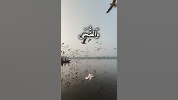 سورة الضحى بصوت جميل ومريح جدا  #سورة_الضحى #الضحى #القرآن_الكريم #اكسبلور #شورتز #ترند
