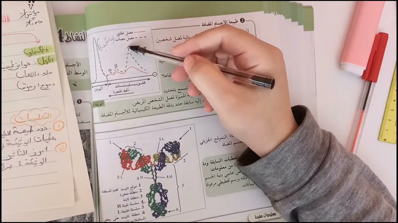 المناعة الخلطية في أقل من ساعة🔥حل تعليمات💪رسم تخطيطي شامل