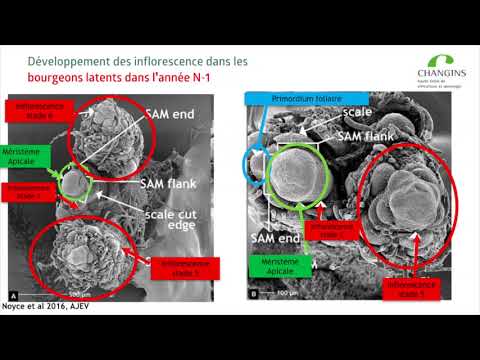 2017 Bordeaux Conference du Millesime - Markus Rienth