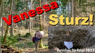 Sturz! (Vanessa) - Vorschau für Folge 3833 | Sturm der Liebe