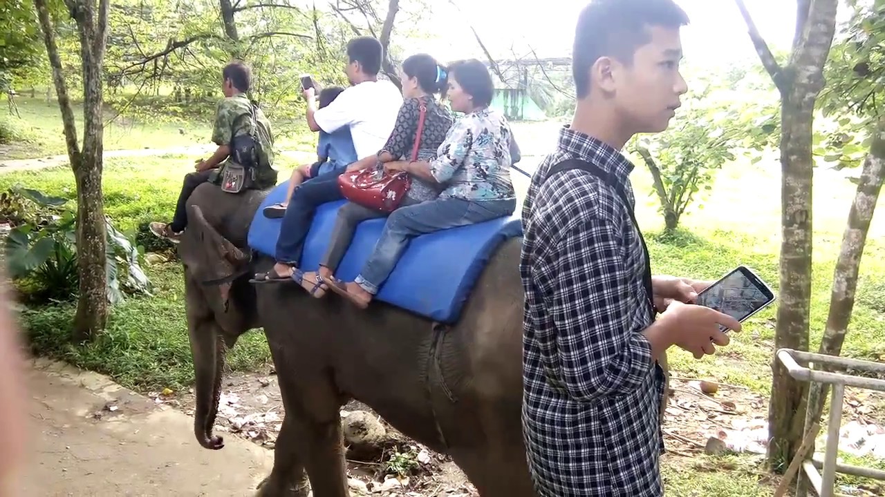 Berkunjung Wisata Kebun binatang Zoo Simalingkar B medan