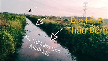 Câu Cá Trê Vàng. Vùng  Này Phải Đo Độ Lì. @tranchungcuchi 