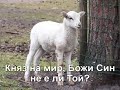 Не е ли Той чуден Бог