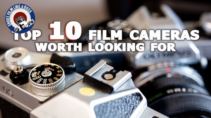 Best Film Cameras To Buy In 2024 