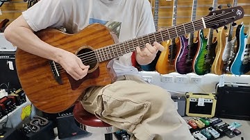 Caraya A2016ARSMT40 & A2016ARSMT41