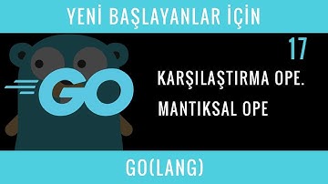 Yeni Başlayanlar İçin GO(LANG) : 17 : Karşılaştırma ve Mantıksal Operatörler