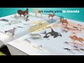 En Route Vers La Réussite Avec Le Dictionnaire Le Robert Junior édition 2024 En Route Vers La Réussite Avec Le Dictionnaire Le Robert Junior édition 2024