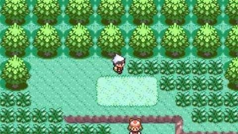 pokemon ruby hack sprites  (graphics)