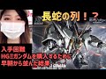 長蛇の列で絶望!?入手困難ガンプラ【HGクスィーガンダム】探し求めて！ドキュメント＆開封レビュー【XI GUNDAM(閃光のハサウェイ)】GUNPLA Shopping in Japan