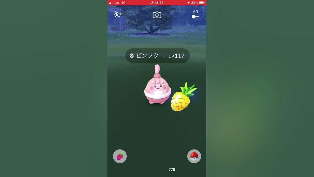 ピンプク3匹 可愛い どれが本物か Youtube