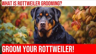 Grooming Your Rottweiler: Tips and Techniques