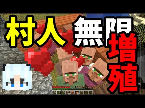 最高のマインクラフト トップ100マイクラ 村人 誘導